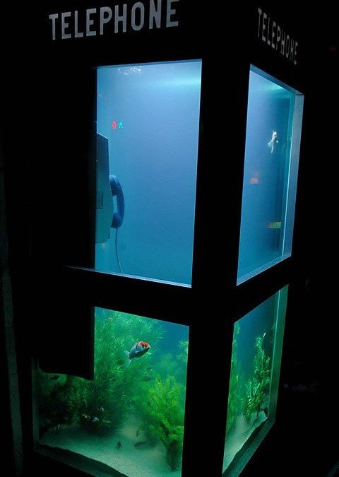 acquaphone